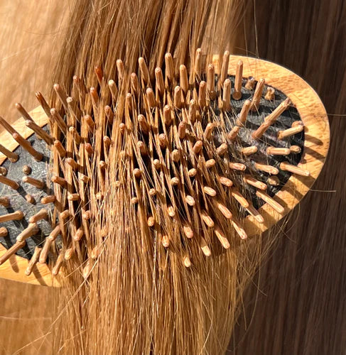 Olio di argan: 4 motivi per usarlo sui capelli